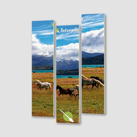 Cuadros Decorativos Sintra mockup