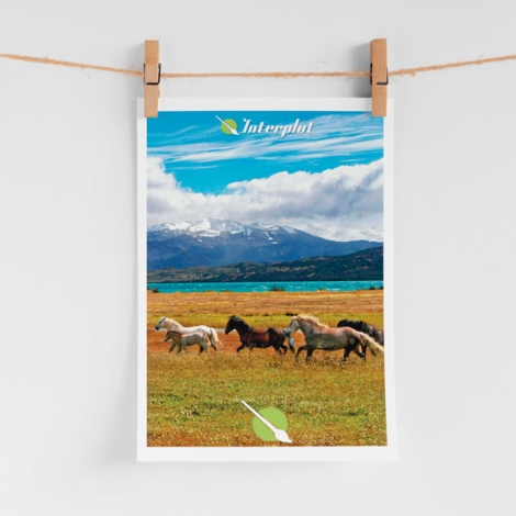 Fotos impresas mockup