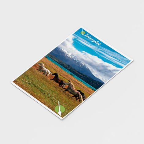 Impresion Carta - Oficio Mockup