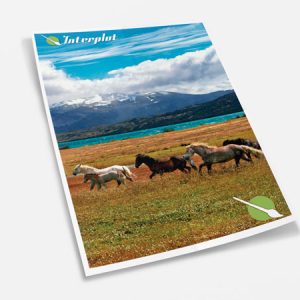 Afiches Doble Oficio