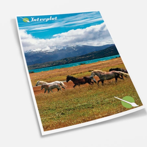 Impresion afiches Mockup